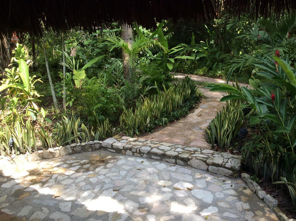 Hotel Boutique Quinta Chanabnal بالينكو المظهر الخارجي الصورة