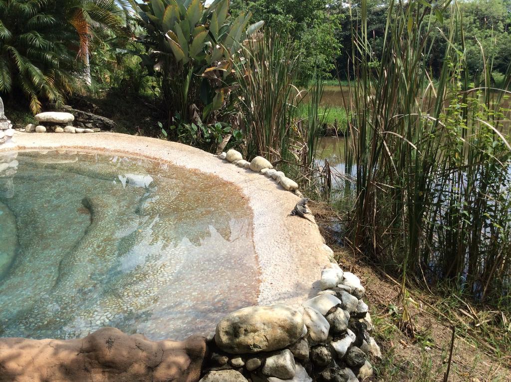 Hotel Boutique Quinta Chanabnal بالينكو المظهر الخارجي الصورة