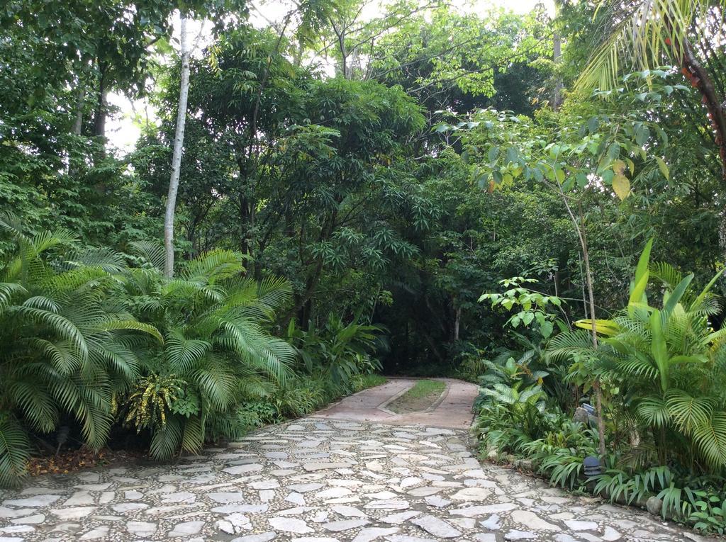 Hotel Boutique Quinta Chanabnal بالينكو المظهر الخارجي الصورة