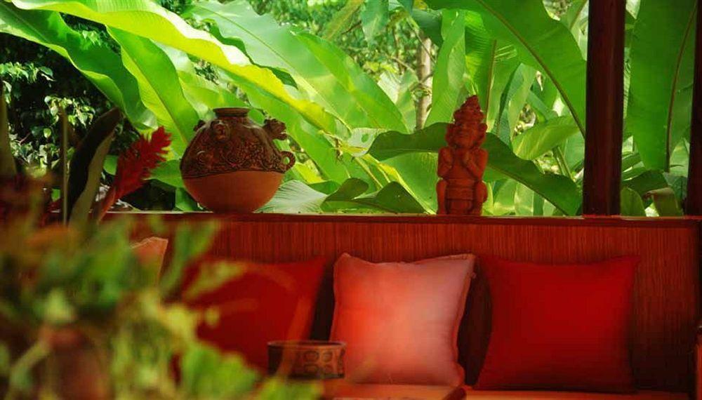 Hotel Boutique Quinta Chanabnal بالينكو المظهر الخارجي الصورة
